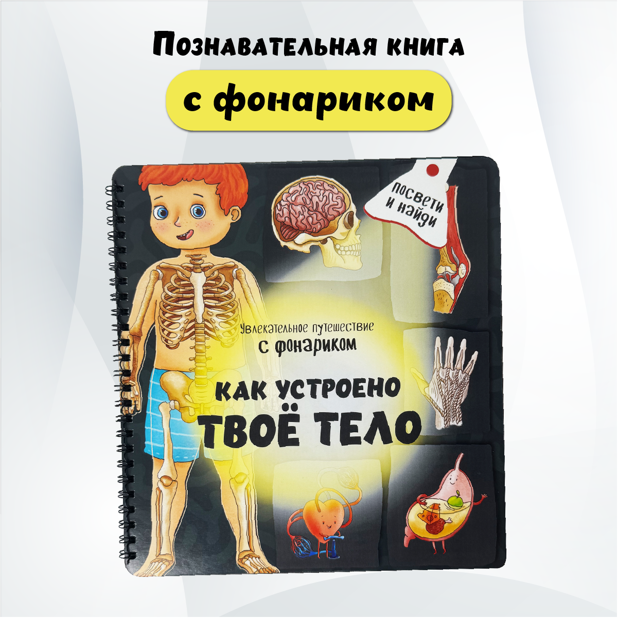 Детская книга BimBiMon с фонариком Как устроено твое тело - фото 1