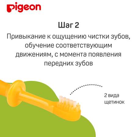 Набор зубных щеток Pigeon для детей с 4 до 18месяцев 3шт 1021091