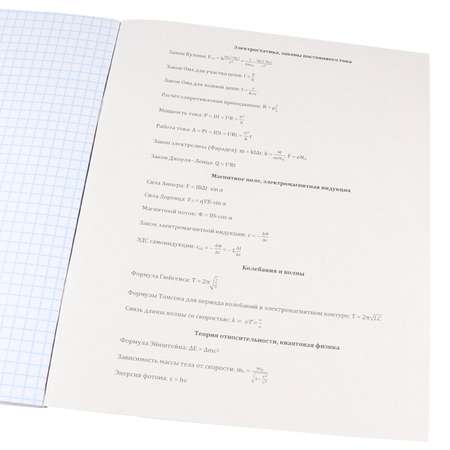 Набор предметных тетрадей Prof-Press клетка Физика Urban friends А5 48 листов 4 шт