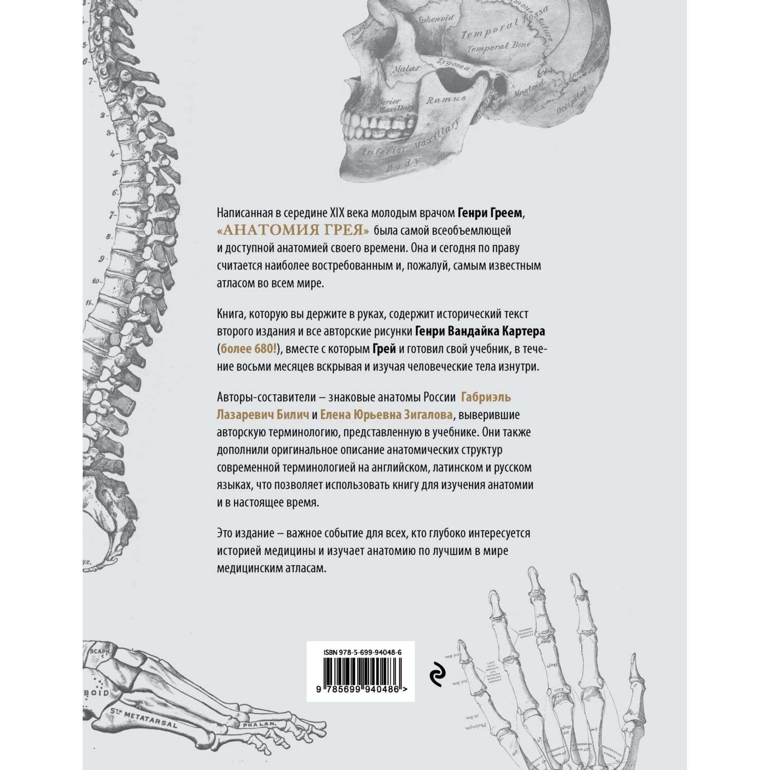Книга Эксмо Анатомия Грея Анатомические структуры с оригинальной и современной - фото 2