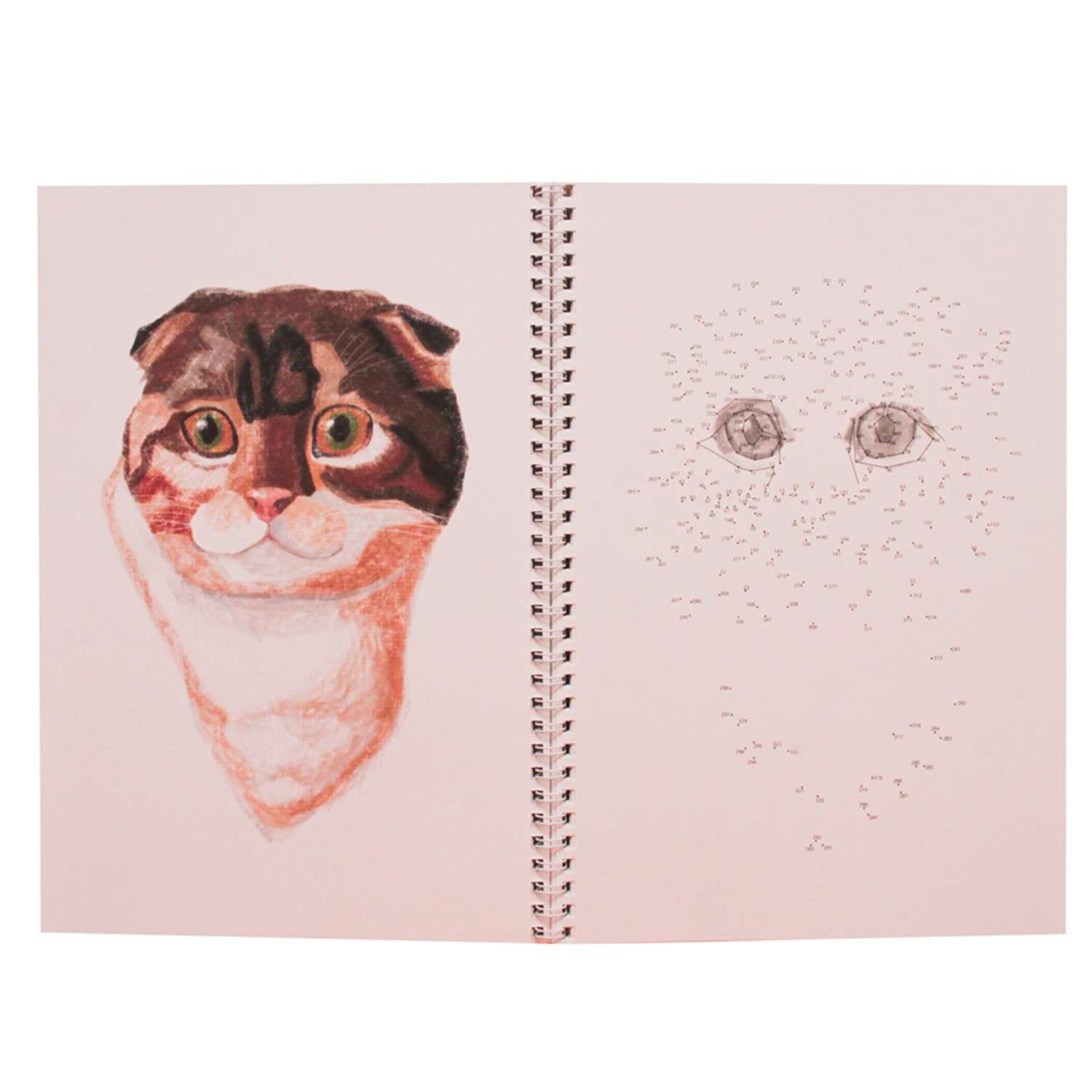 Альбом для рисования Prof-Press Рисуем от точки к точке Собаки и кошки 32 листа - фото 2
