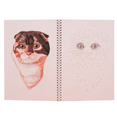Альбом для рисования Prof-Press Рисуем от точки к точке Собаки и кошки 32 листа
