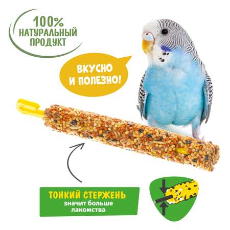 Лакомство для птиц HappyJungle палочки мед-фрукты 30г*3шт