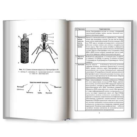Книга ТД Феникс Биология в таблицах схемах и рисунках