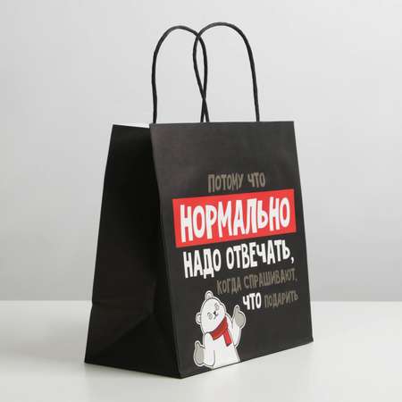 Пакет Дарите Счастье подарочный «Нормально надо отвечать». 22×22×11 см