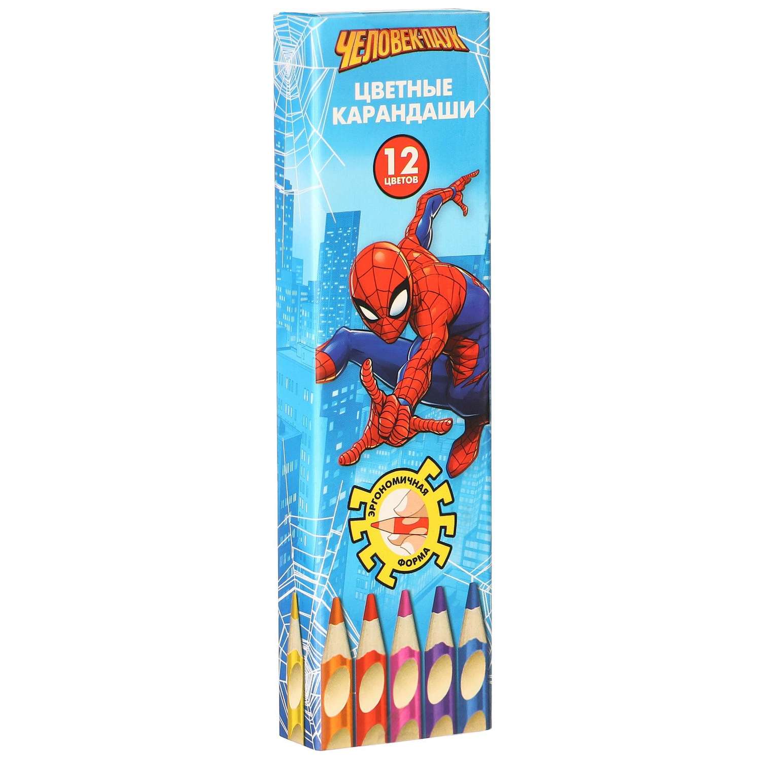 Карандаши Marvel цветные в пенале 12 цветов «Человек-паук» Человек-паук трёхгранный корпус - фото 2