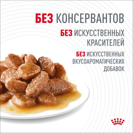 Корм для кошек Royal Canin 85г Digestive Care соус