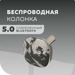 Колонка bluetooth More Choice BS12 Grey