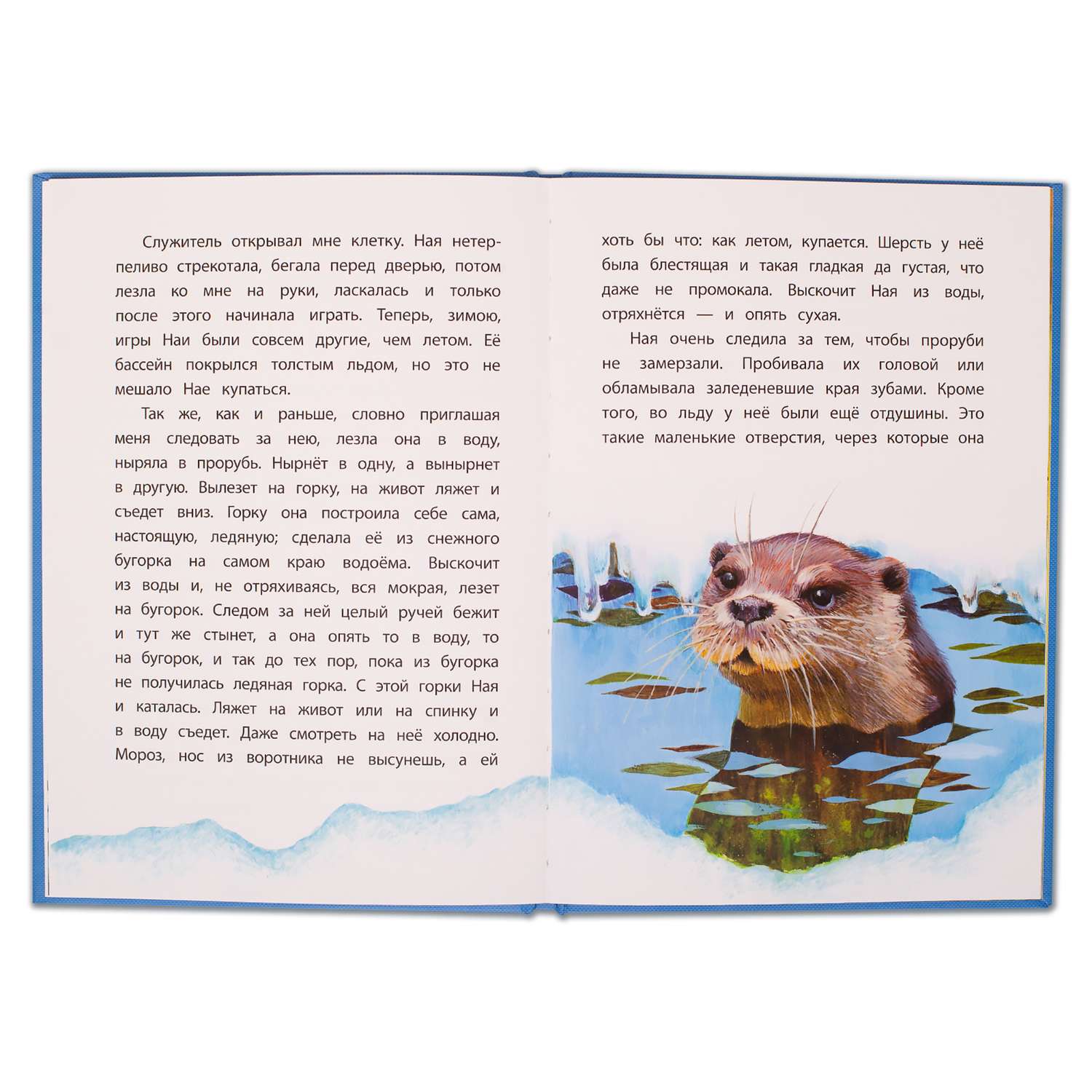 Книга Издательство Детская литература Ная - выдрёнок - фото 4