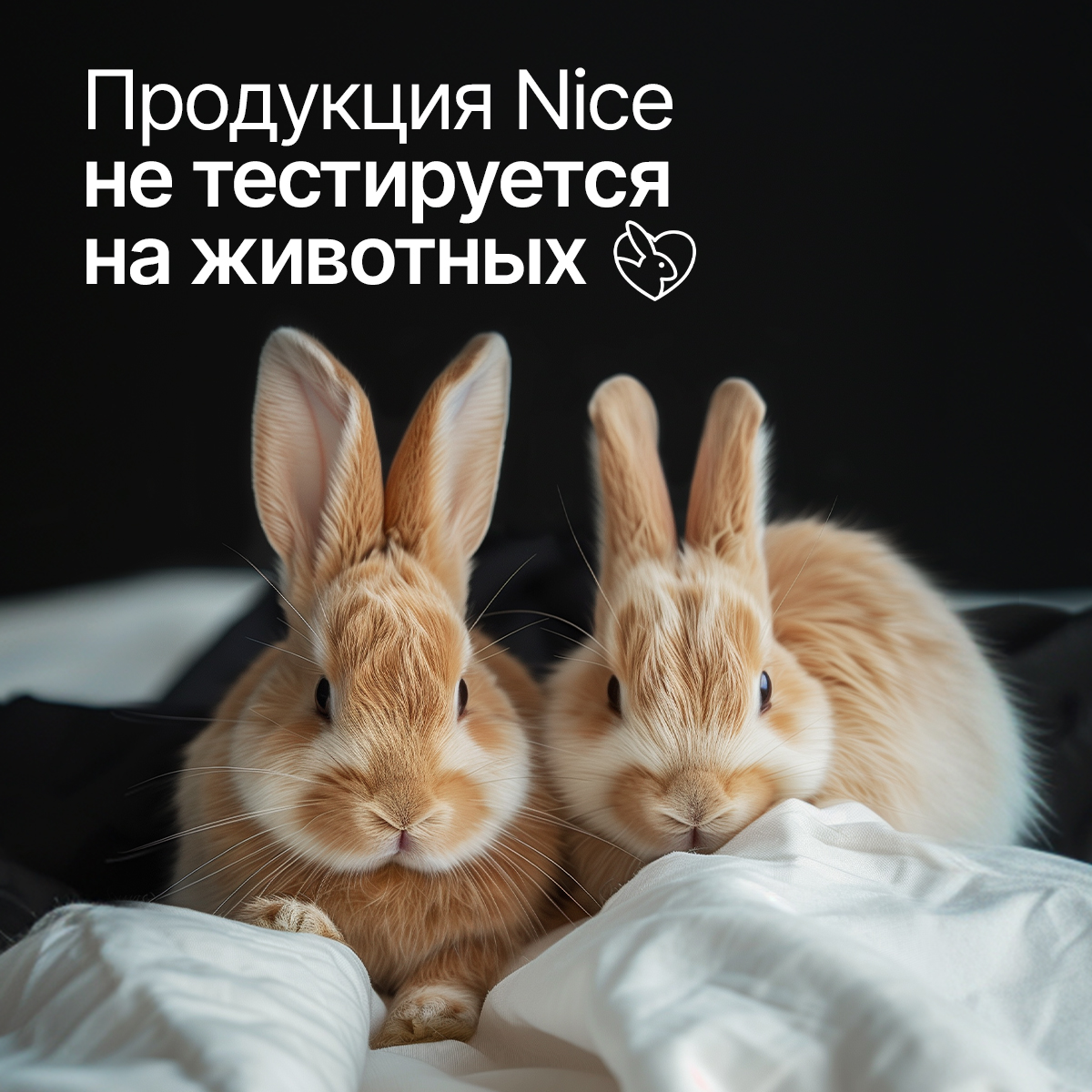 Гель для душа NICE by Septivit Мужской 1л - фото 10