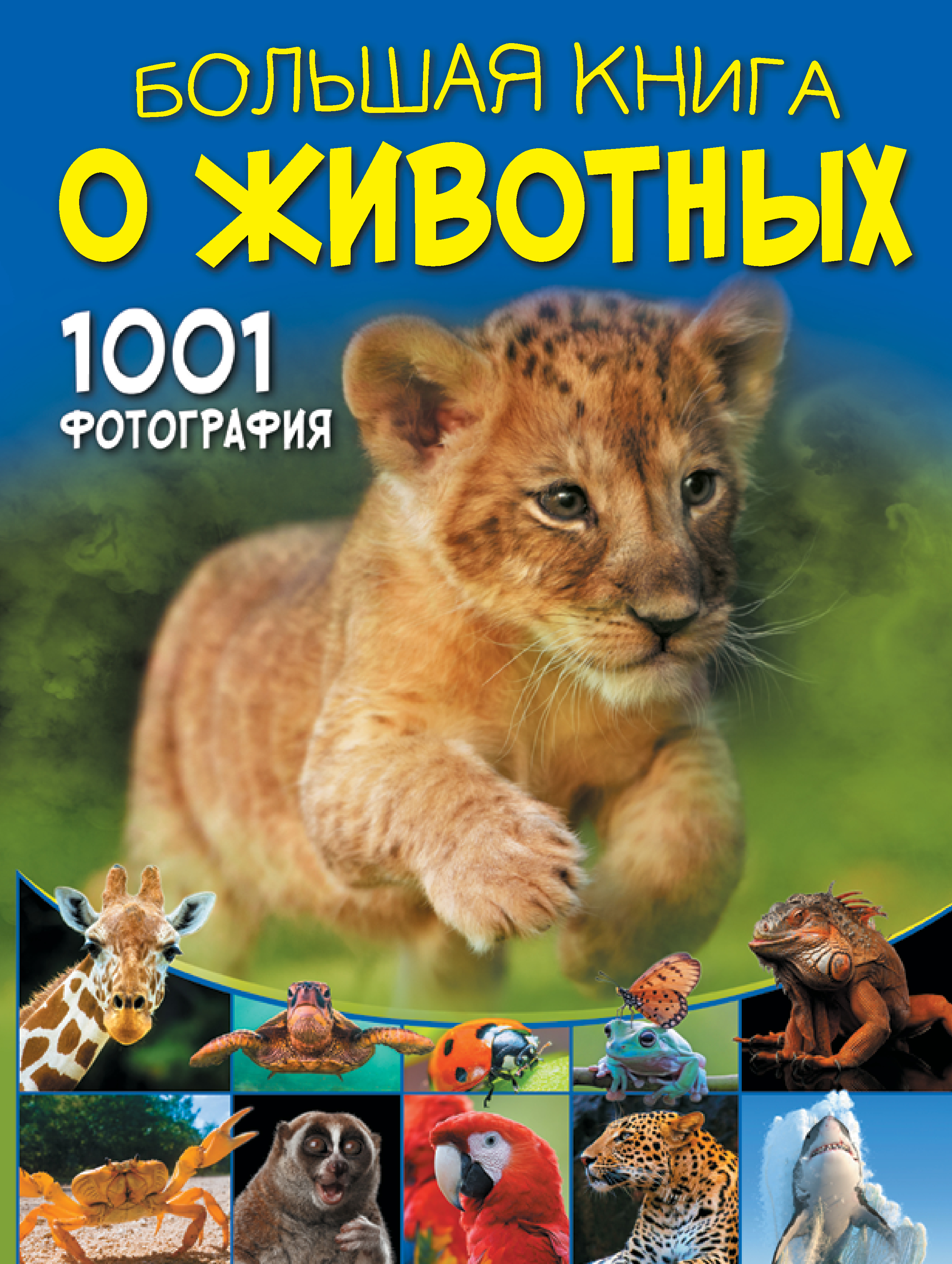 Книга АСТ Большая книга о животных. 1001 фотография - фото 1