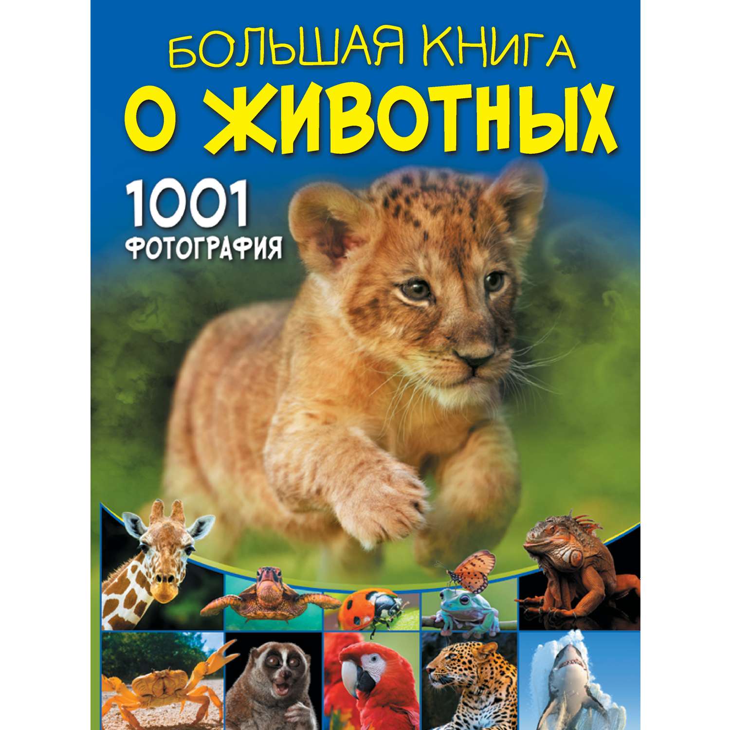 Книга АСТ Большая книга о животных. 1001 фотография - фото 1