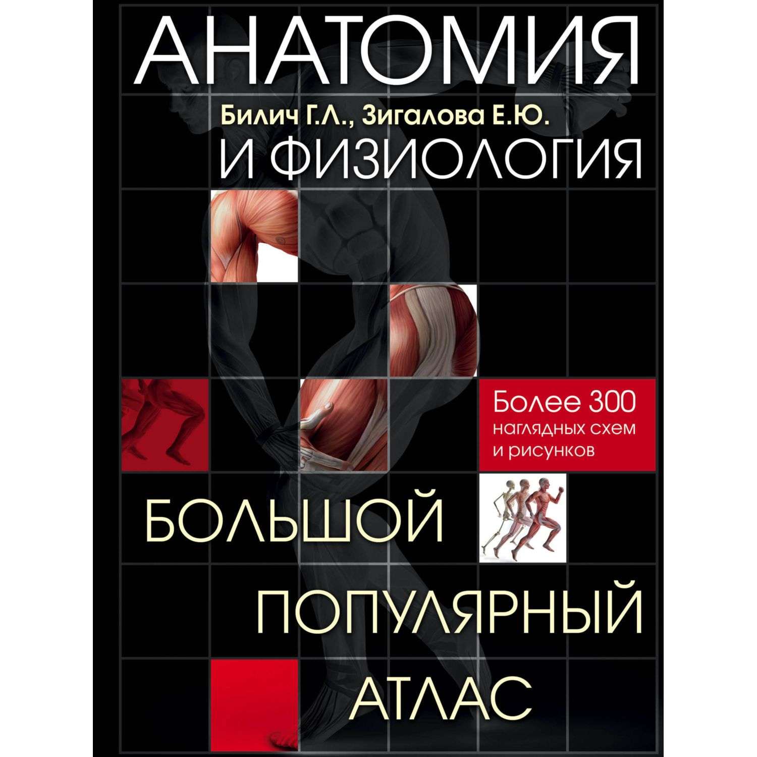 Книга Эксмо Анатомия и физиология Большой популярный атлас - фото 13