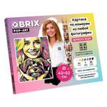 Картина по номерам QBRIX из любой фотографии Pop-art 40х50