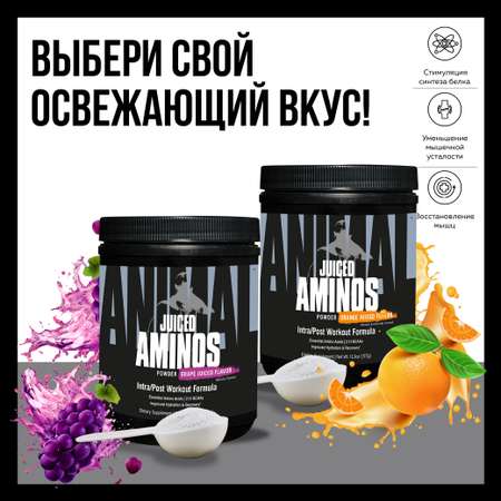 Аминокислотный комплекс Animal Juiced Aminos Апельсиновый сок 377 г