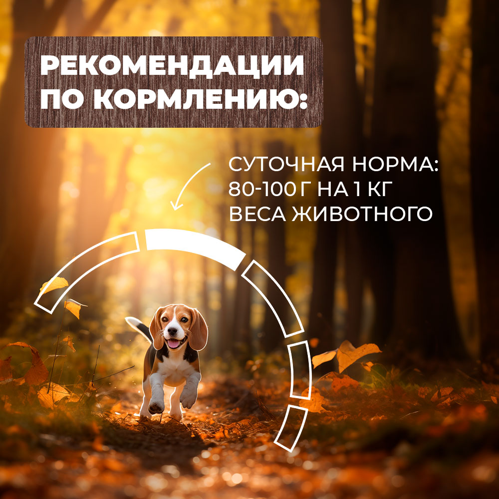 Корм для собак Родные корма По-суздальски мясные кусочки в соусе 410г - фото 5