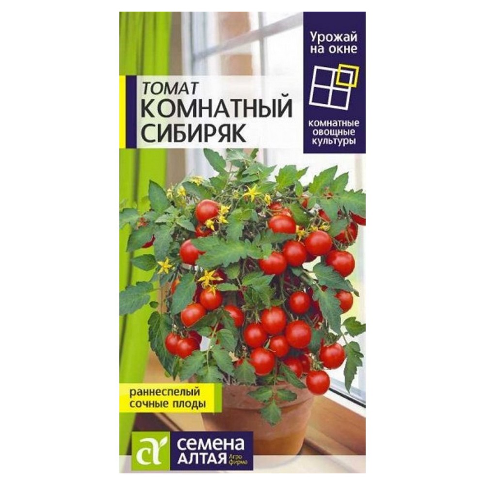 Семена Семена Алтая Урожай на окне томат Комнатный сибиряк 0.05 г купить по  цене 250 ₽ в интернет-магазине Детский мир