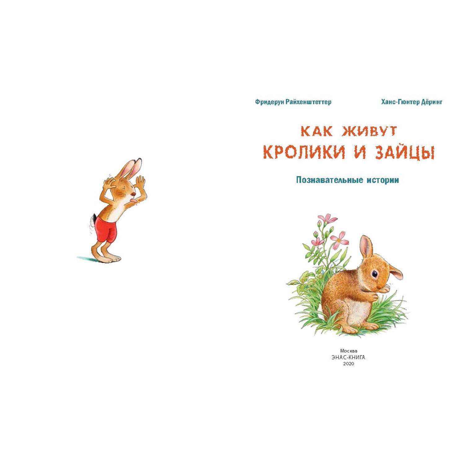 Книга Издательство Энас-книга Как живут кролики и зайцы Познавательные истории - фото 2