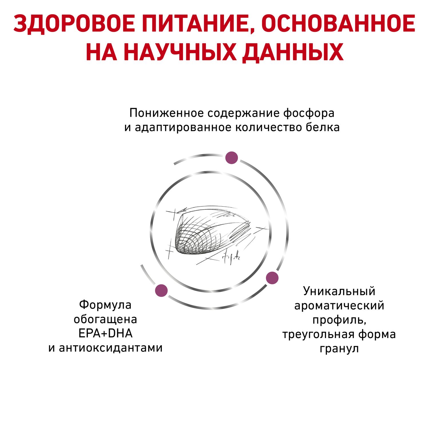 Корм для кошек ROYAL CANIN Renal Special RSF 26 с хронической почечной недостаточностью 0.4кг - фото 4