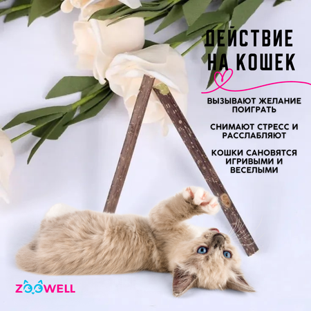 Игрушка для кошек ZDK ZooWell палочки Мататаби Actinidia polygama с эффектом кошачьей мяты для чистки зубов 20шт