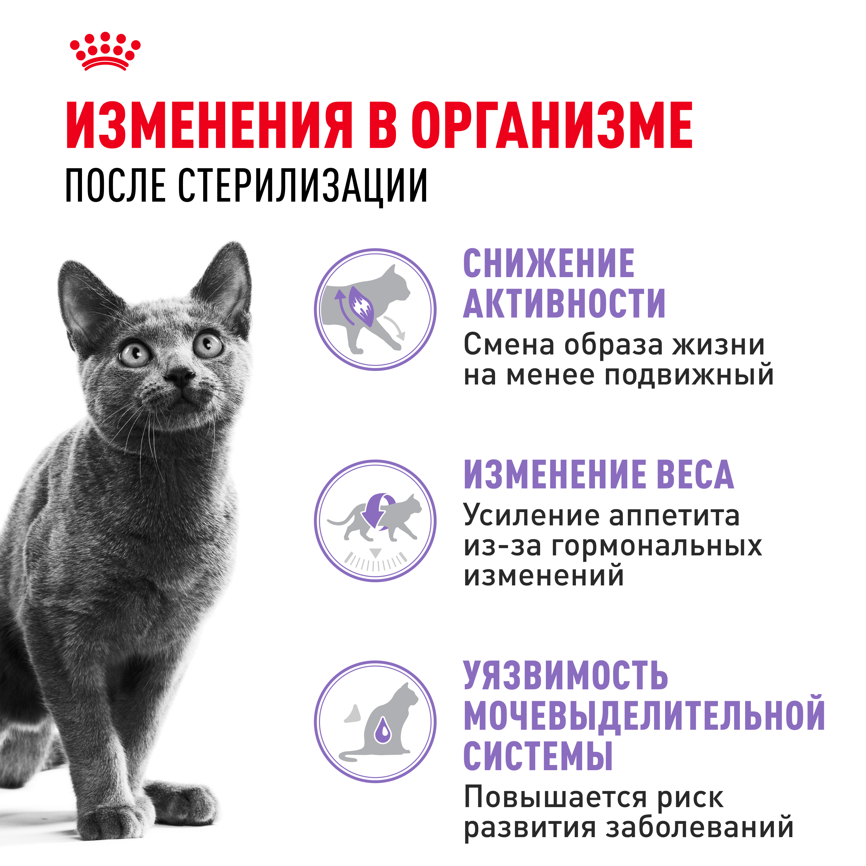 Корм сухой ROYAL CANIN Sterilised 37 4кг для стерилизованных кошек - фото 10