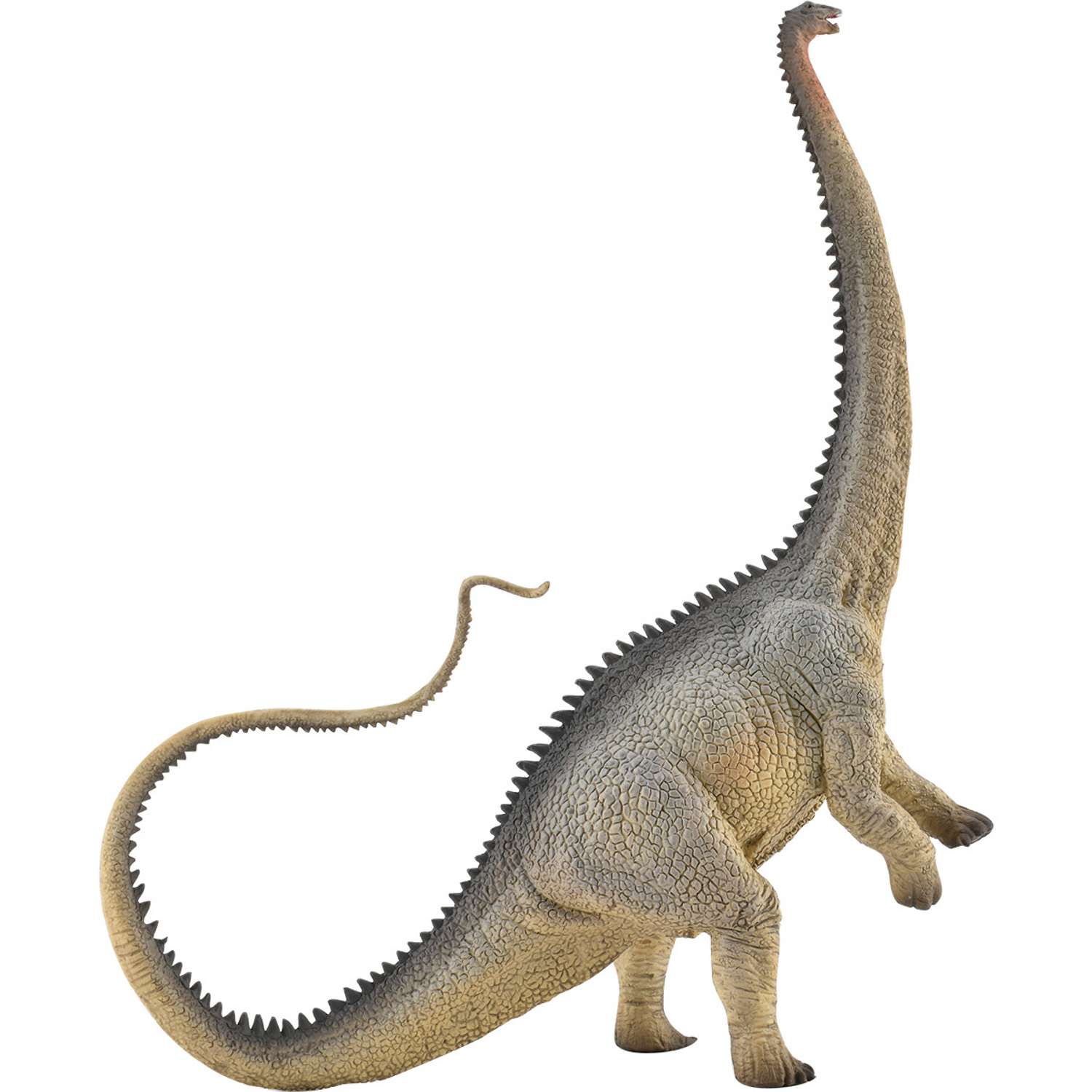 Фигурка динозавра Collecta Диплодок серый - фото 1