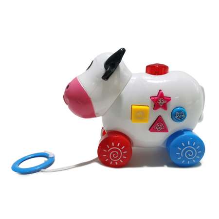 Игрушка NEWSUN каталка