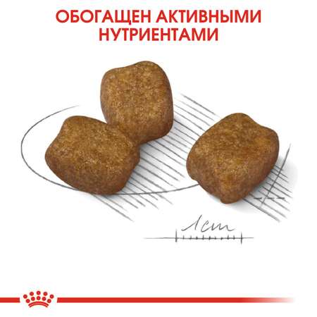 Сухой корм для собак ROYAL CANIN 3 кг (полнорационный)