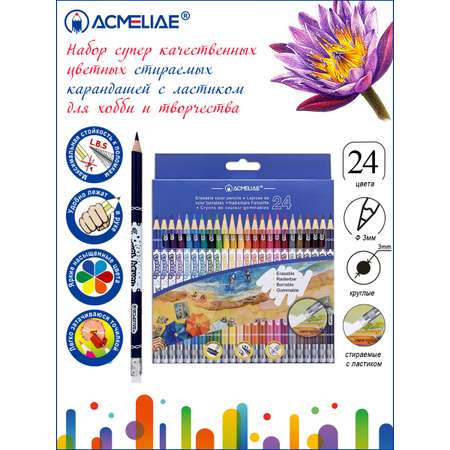 Карандаши стираемые цветные ACMELIAE набор 24 цвета в картонном футляре