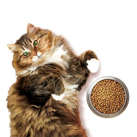 Корм для кошек Harty 0,3кг с индейкой для взрослых с чувствительным пищеварением полнорационный сухой