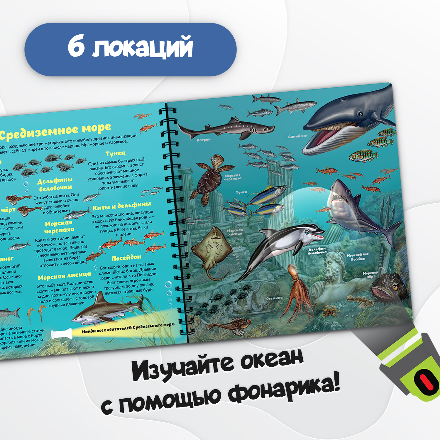 Детская книга BimBiMon с фонариком Кто живёт под водой? - фото 3