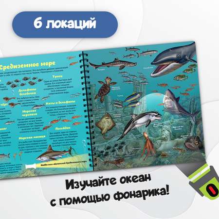 Детская книга BimBiMon с фонариком Кто живёт под водой?