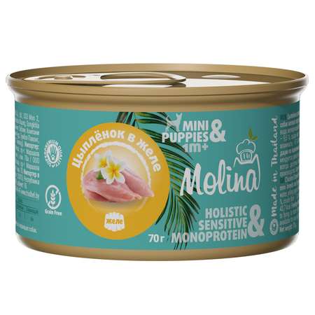 Корм для собак Molina цыпленок в желе консервы 70г