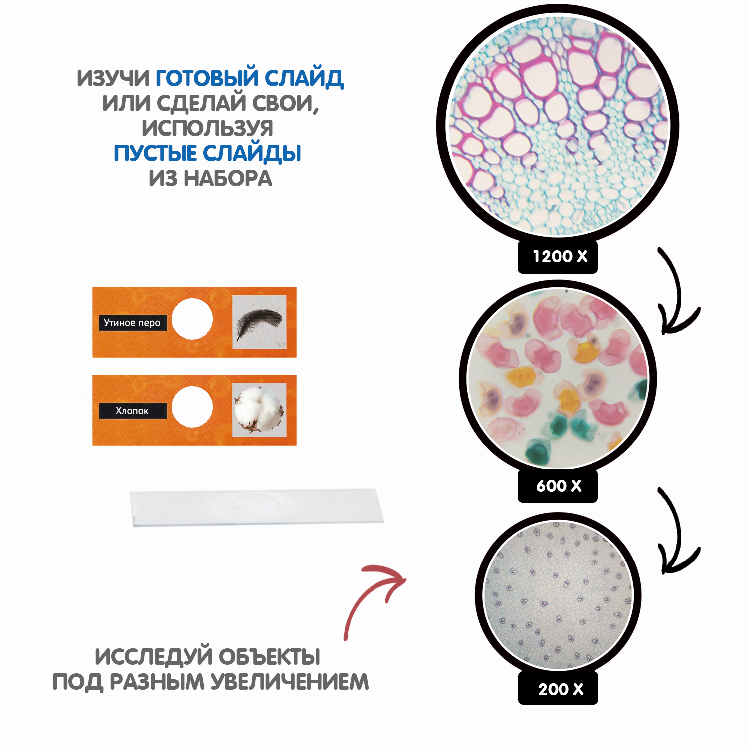 Набор для опытов BONDIBON Микроскоп 200-1200X - фото 8