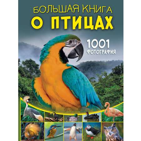 Книга АСТ Большая книга о птицах. 1001 фотография