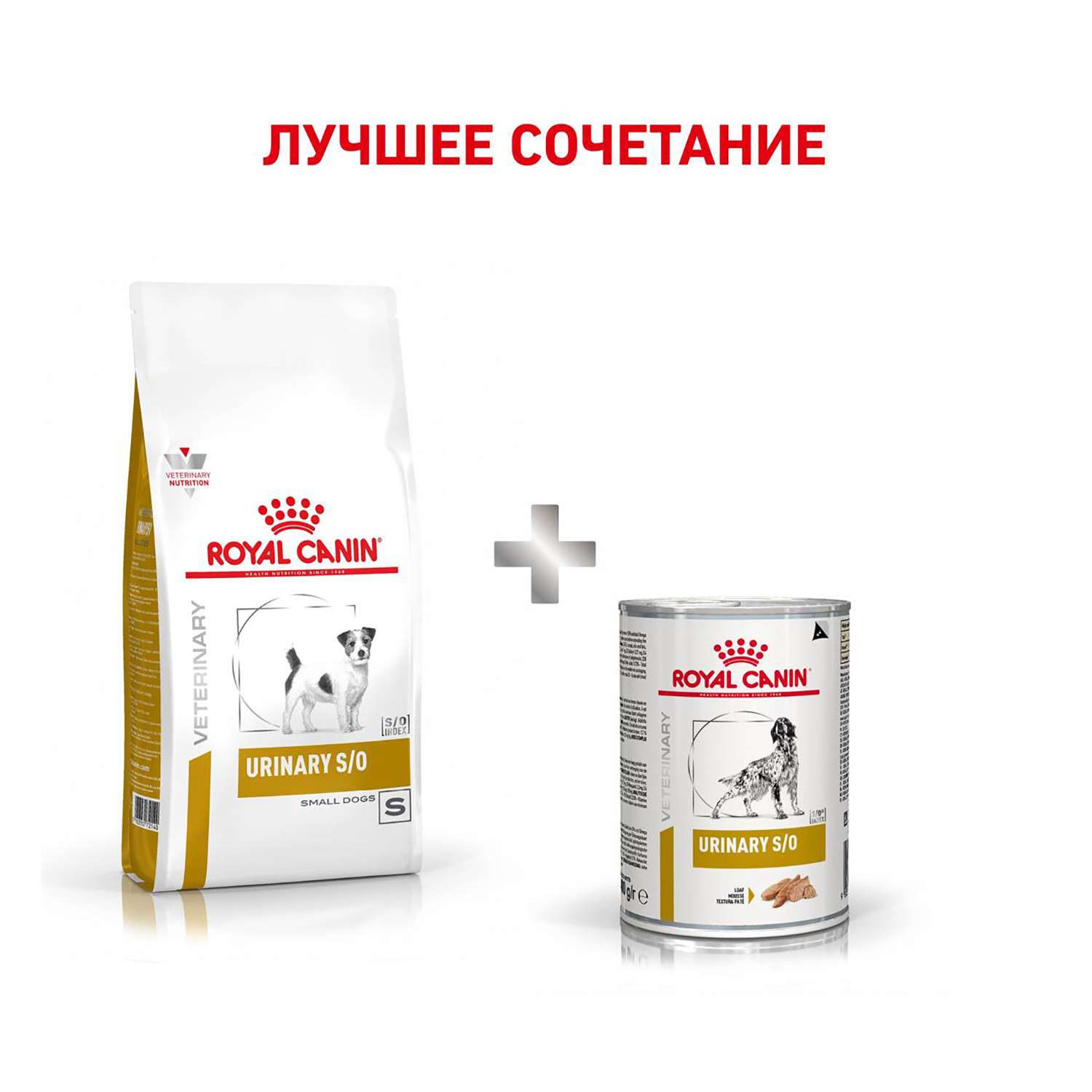 Pate royal canin store urinary