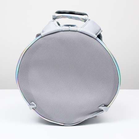 Рюкзак для переноски животных Пижон круглый прозрачный 26 см серый