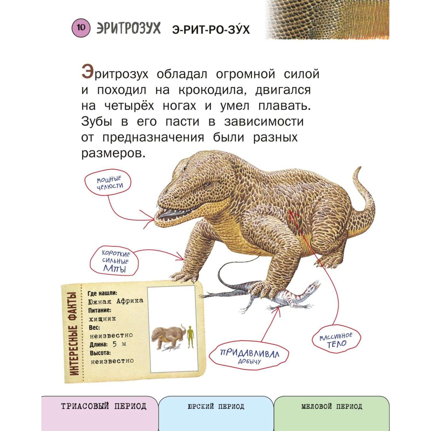 Книга Эксмо Все динозавры с крупными буквами - фото 6