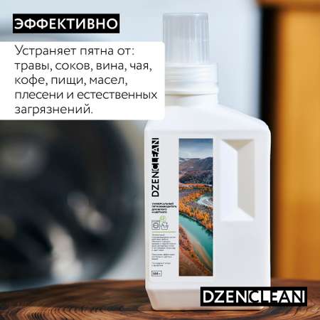 Пятновыводитель DzenClean универсальный для белого и цветного 500 г