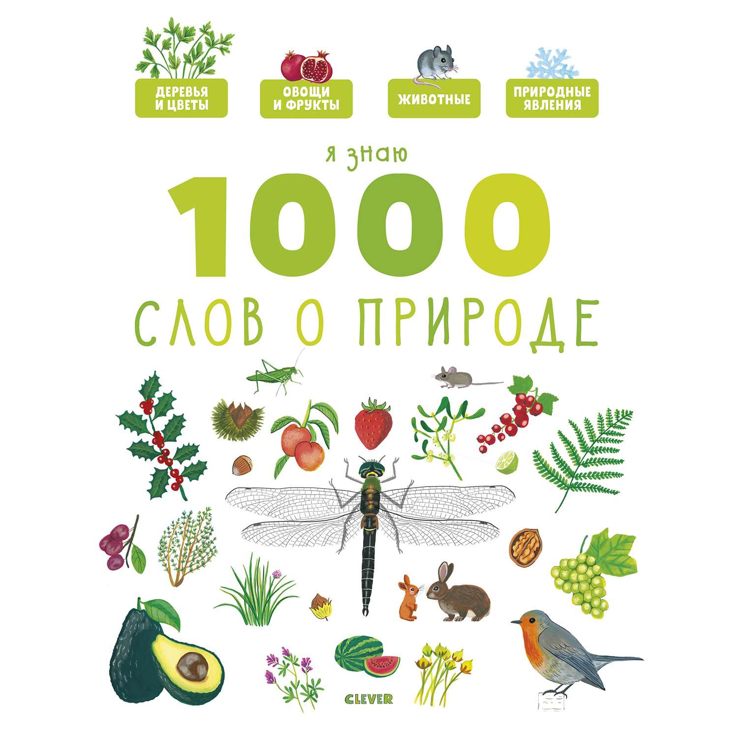 Книга Clever Главная книга малыша Я знаю 1000 слов о природе - фото 1