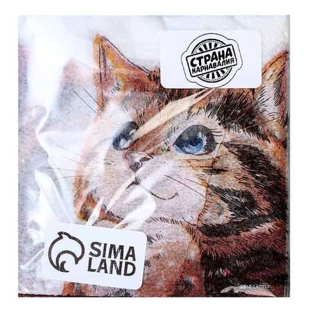 Салфетки Страна карнавалия бумажные однослойные «Котёнок» 24×24 см набор 20 штук