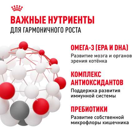 Корм сухой для котят ROYAL CANIN Kitten 300г