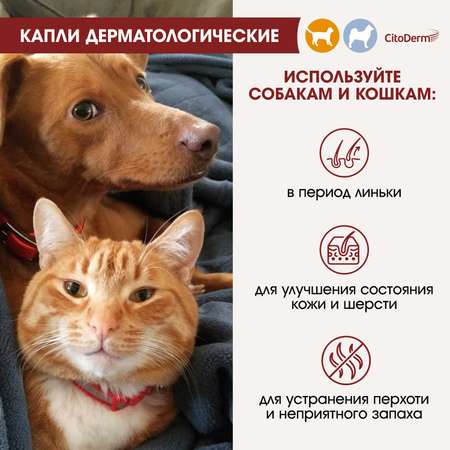 Капли для кошек и собак CitoDerm до 10кг дерматологические 1мл