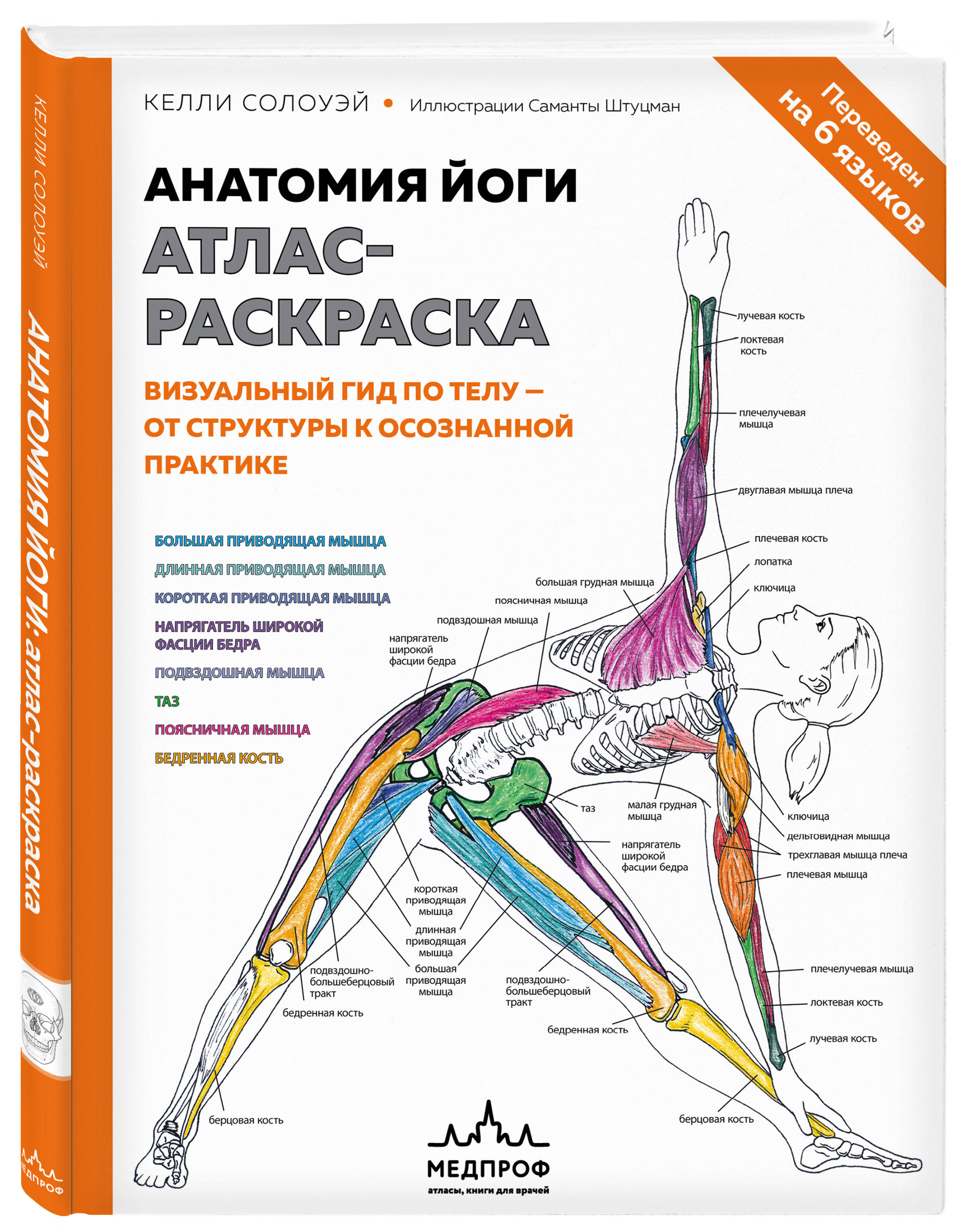 Книга БОМБОРА Анатомия йоги атлас раскраска Визуальный гид по телу от  структуры к осознанной практике купить по цене 1325 ₽ в интернет-магазине  Детский мир