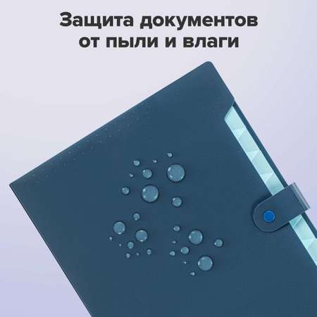 Папка-органайзер Brauberg А4