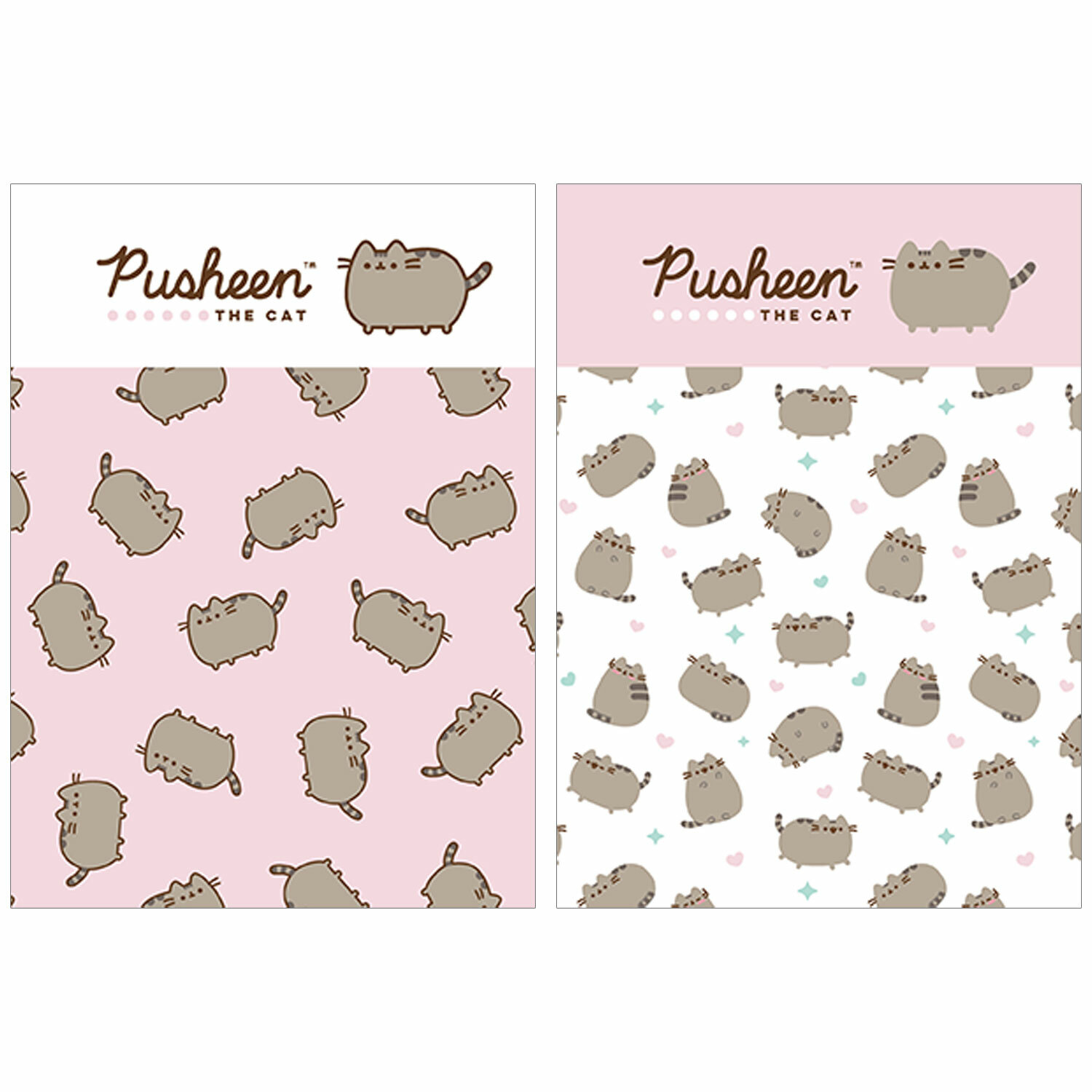 Записная книжка Pusheen А6 80л в ассортименте PS5/2 - фото 1