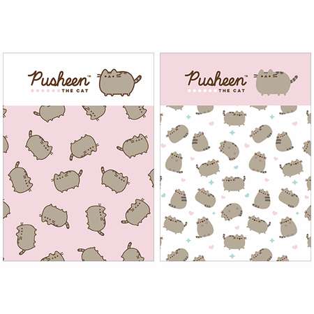 Записная книжка Pusheen А6 80л в ассортименте PS5/2