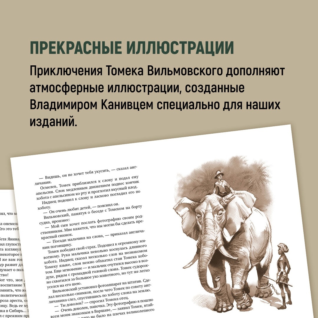 Книга АЗБУКА Томек ищет снежного человека купить по цене 915 ₽ в  интернет-магазине Детский мир