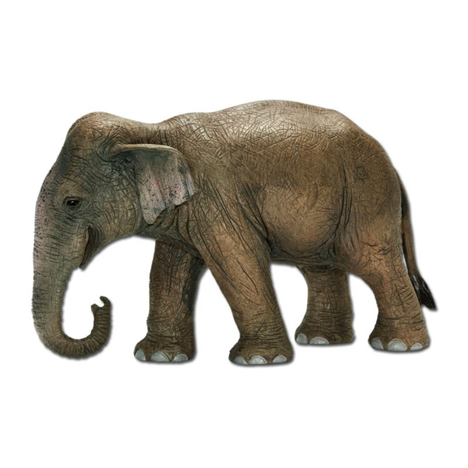 Фигурка SCHLEICH Азиатский слон самка - фото 1
