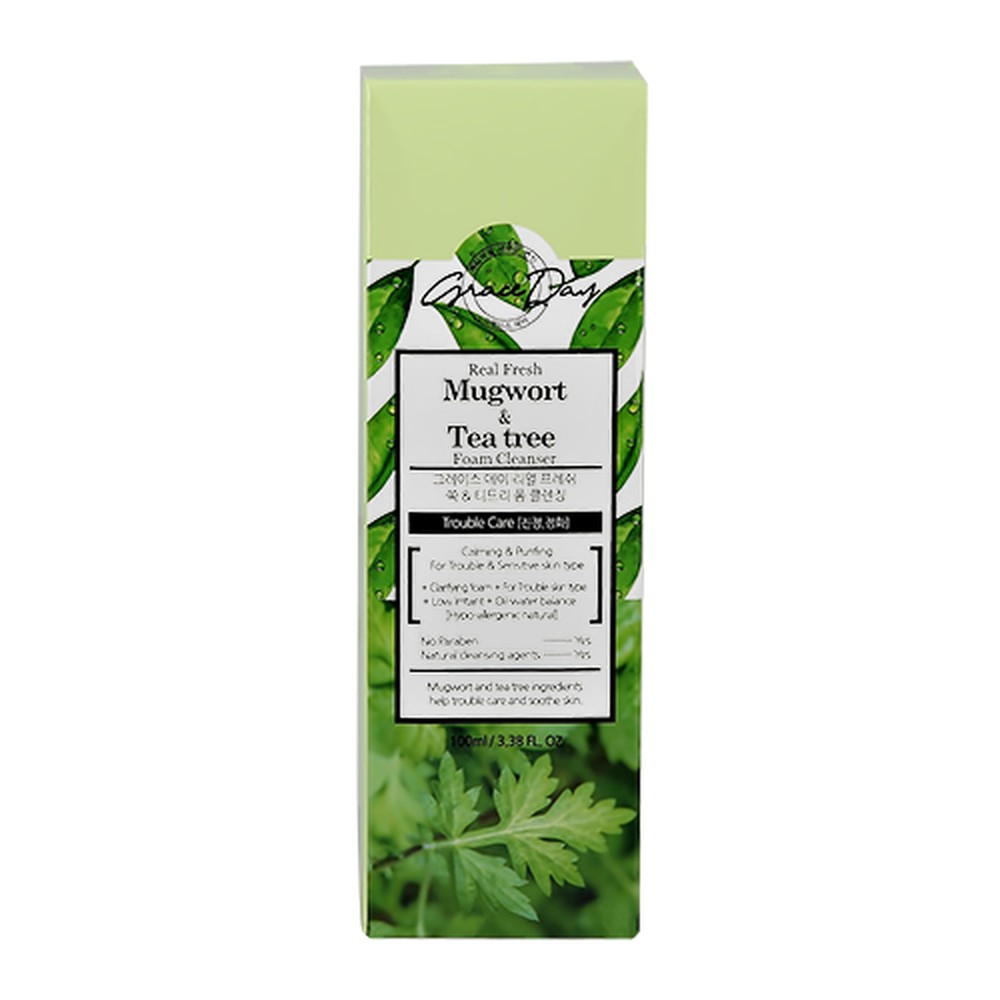 Пенка для умывания grace. Grace Day пенка для умывания Mugwort Tea Tree. Пенка для лица real Fresh Foam Cleanser 100ml (Grace Day). Grace Day пенка для умывания с розовой глиной Pink Clay Anti-Trouble facial Foam, 180 ml. Grace Day real Fresh Aloe & Green Tea Foam Cleanser.